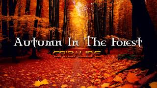 Celtic Music  Autumn In The Forest Original Mix  Crisalid3 [upl. by Venice]