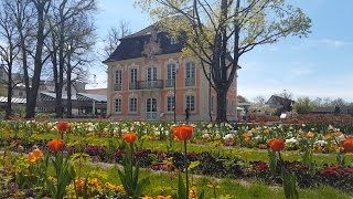 Tulpenblüte im Gmünder Remspark [upl. by Nairrad]