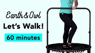 Gentle 60 Minute Rebounder Walk Workout Seniors and Beginners Closed Chain Movement 120bpm [upl. by Hsac]