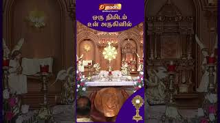 ஒரு நிமிடம் உன் அருகினில்  60 Sec Adoration  madhatv TV shortsvideo [upl. by Macomber]