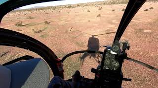 Schweizer Helicopter Intro Flight 1080 HD [upl. by Tisman]