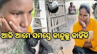 ଆଜି ଆମେ ସମସ୍ତେ କାହିଁକି କାନ୍ଦୁଛୁ  Emiti Kariba Uchit Nunhe Today Vlog [upl. by Eidualc193]