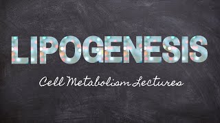 Learning Lipogenesis  Part 12 Metabolism Foundations  Nourishable Macronutrients Lecture 28 [upl. by Gard]