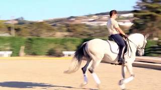 Destinto  Lusitano Horse Coudelaria Pinto Barreiros [upl. by Assehc]