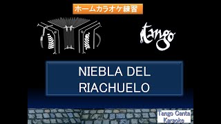 ホームカラオケ練習 NIEBLA DEL RIACHUELO karaoke [upl. by Gerrard]