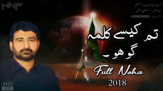 Tum Kaise Kalma Go Ho Full Noha 2018  Raza Abbas Shah Nohay  Noha 2018  Hnp  Muharram Status [upl. by Akcirre]