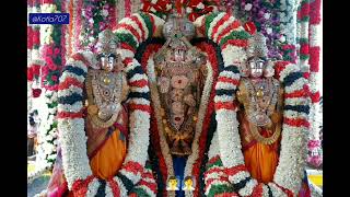 🙏pidikita thalumbrala pelli kuthuru 🙏lord Venkateswara songs [upl. by Tacye]