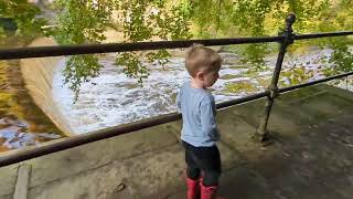 Walking along the Almond River Seeing the Waterfalls and Exploring the FairAFar Mill Ruins [upl. by Pembrook]