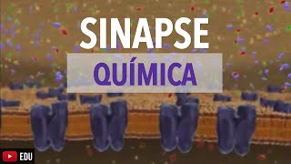 Sinapse Química Animação  Anatomia e etc [upl. by Grae]