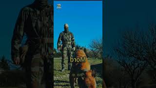 French special forces How did you give the dog a trilling 2024 youtubeshorts army viral [upl. by Llennol819]