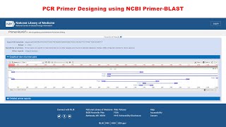 PCR Primer Designing using NCBI PrimerBLAST [upl. by Amati]