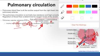 Pulmonary circulation and gas exchange  Pulmonary system  Step 1 Simplified [upl. by Chelsae]