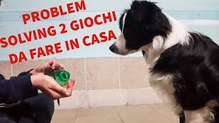 Problem solving 2 giochi da fare in casa con il cane [upl. by Dimah]