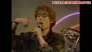 The Psychedelic Furs  Love My Way MV3 1982 [upl. by Chaffinch]