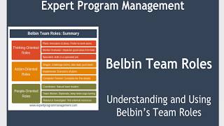 Belbins Team Roles [upl. by Alboran]