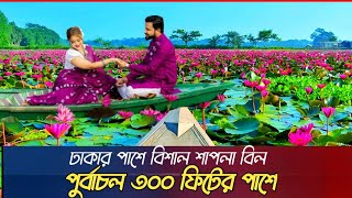 ঢাকার অদুরে পুর্বাচলেে বিশাল শাপলা বিল  shapla Bill  Poddo Shapla Resort  300 feet Purbachal [upl. by Salba]