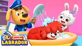 🔍Sheriff Labrador  Mi Mascota No Quiere Bañarse 🛁  Videos para Niños  BabyBus en Español [upl. by Purvis179]