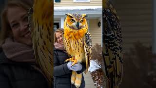 owl owls yt jumbojump youtubeshorts foryou trending birds animals foryoupage [upl. by Ecerahc]