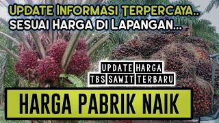 Harga Di Pabrik Naik 12 Juli 2022  Info Harga Sawit Riau Hari Ini [upl. by Kerrill]