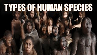 14 Different Types of Human Species  Explained [upl. by Lleznod]