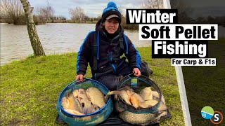 Soft Pellet Fishing For Carp amp F1s In Winter  Lindholme Lakes [upl. by Fadiman390]