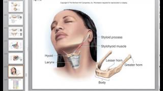 Anatomy Exam 1 Review Chapters 79 [upl. by Azile]