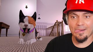 🐈 ŻYCIE OCZAMI ADOPTOWANEGO KOTA symulator skrzywdzonego kota  Copycat [upl. by Isolda]