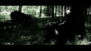 Gaz Brookfield  Black Dog Day Official Video [upl. by Nnylyaj]