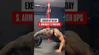 Landmine Exercise of the Day functionaltraining functionalfitness pushups [upl. by Schmitt116]