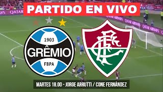 🔴GREMIO vs FLUMINENSE  COPA LIBERTADORES  EN VIVO [upl. by Enairda]