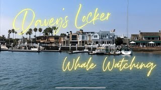 Davey’s Locker Whale Watching and Sportfishing Newport Beach California [upl. by Rustice]