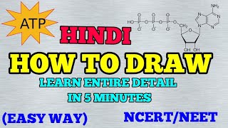 STRUCTURE OF ATP  Learn in 5 Mins  HINDI [upl. by Trout976]