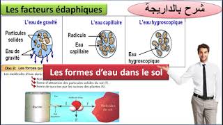 Les formes deau dans le sol TCSF les facteurs édaphiques شرح بالداريجة [upl. by Akerdnahs]