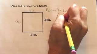 How to find the Area and Perimeter of a Square [upl. by Teiv]