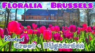 FLORALIA BRUSSELS  FULL details VLOG  BELGIUM  ChitraWorld [upl. by Ahsaenat864]