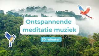 Ontspannende meditatie muziek  30 minuten  Natuur [upl. by Narrad620]