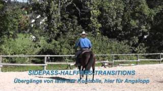 Demo REITARBEIT Basics mit QHHengst in 2010 [upl. by Akirdna]