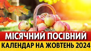 ЩО та КОЛИ робити на городі у жовтні 2024 за місячним календарем Місячний календар городника [upl. by Enohs]