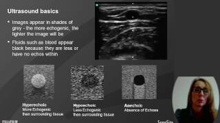 Webinar Ultrasound in Hemodialysis Assessment amp USGuided Cannulation for Dialysis Nurses [upl. by Yrrum]