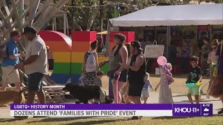 Houstonians attend Families with Pride event at Discovery Green [upl. by Hadik]