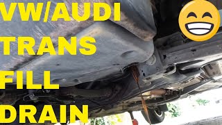 How To Check VW Transmission Fluid [upl. by Sirdi578]