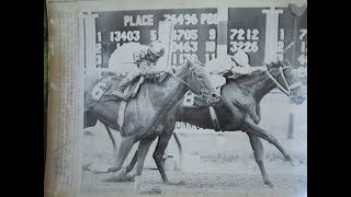 Mike Miceli amp Miguel Rivera talk about the 1974 Monmouth Invitational 1974 Haskell Stakes [upl. by Eehc]