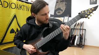 Periphery  Zagreus Guitar Solo Cover [upl. by Deny]