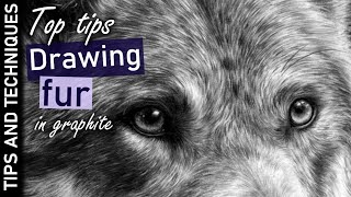 Top tips on how to draw fur in graphite  Photo realistic graphite drawings [upl. by Thirzi982]