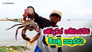 King Size Mud Crab Caught In Fishing Net [upl. by Aguie]