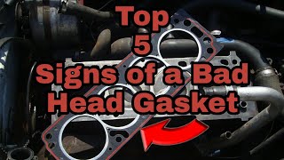 Top 5 Signs Of A BAD HEAD GASKET [upl. by Reichert]