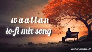 waalian lofi mix song lofi sad heart touching song lyrics Panjab lofi song TusharWriterx1 [upl. by Eilasor549]