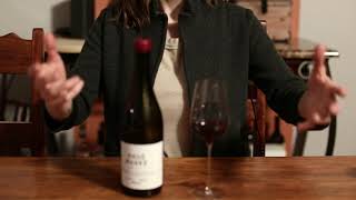 Wine ASMR  Tasting a Zweigelt with a real sommelier [upl. by Dwyer]