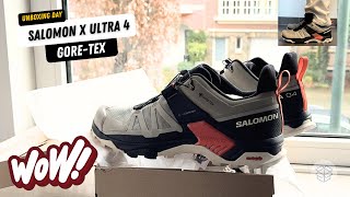 Salomon X ULTRA 4 GORETEX [upl. by Ardis]