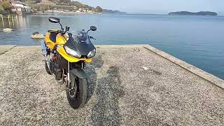 New year ride Speed Triple 955i2 [upl. by Ema318]